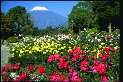🏞️ 히로미 공원 (広見公園) 이미지 2